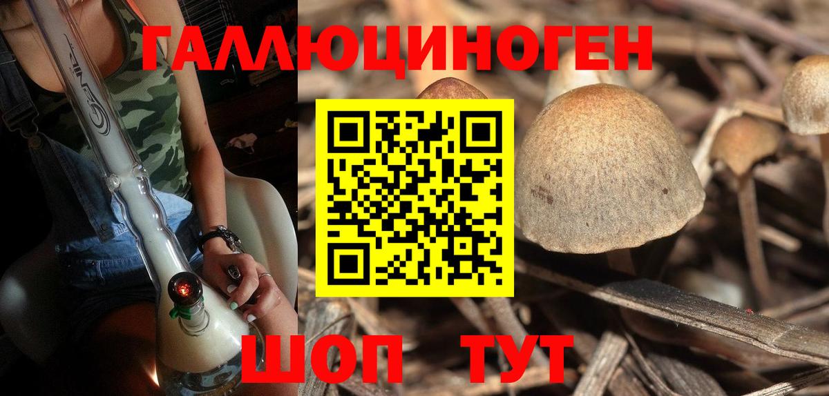 Псилоцибиновые грибы Psilocybine cubensis  Галлюциногенные грибы Psilocybine cubensis  Вход с VPN  Реутов 